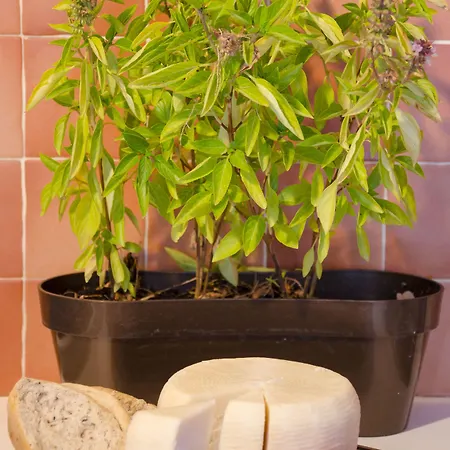 Mouras 2* Astypálaia