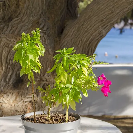 Mouras מלון דירות 2*