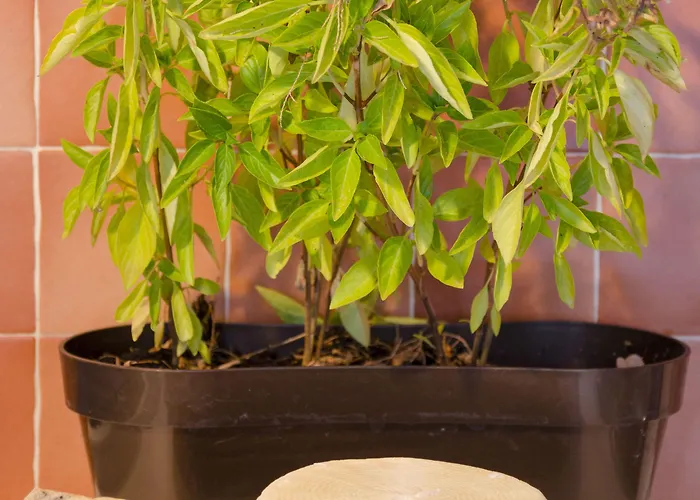 Mouras 2* ليفاذيا أستيبالياس