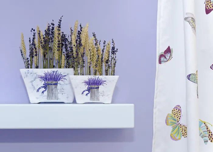 Mouras ليفاذيا أستيبالياس