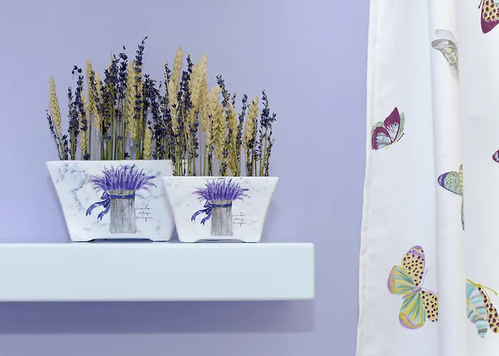 Appart hôtel Mouras 2*